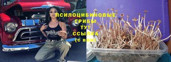 марки nbome Бикин
